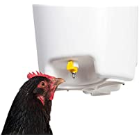 Los mejores  - FINCA CASAREJO Bebedero para gallinas con chupetes de 12 litros. Bebedero con 3 tetillas.